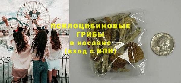 прущая мука Кодинск