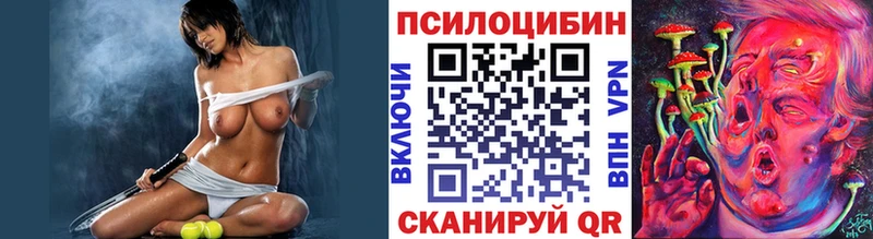 закладки  Горячеводский  Псилоцибиновые грибы мицелий 